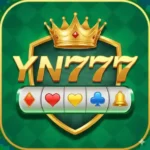 YN 777