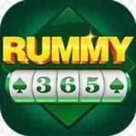 Rummy 365